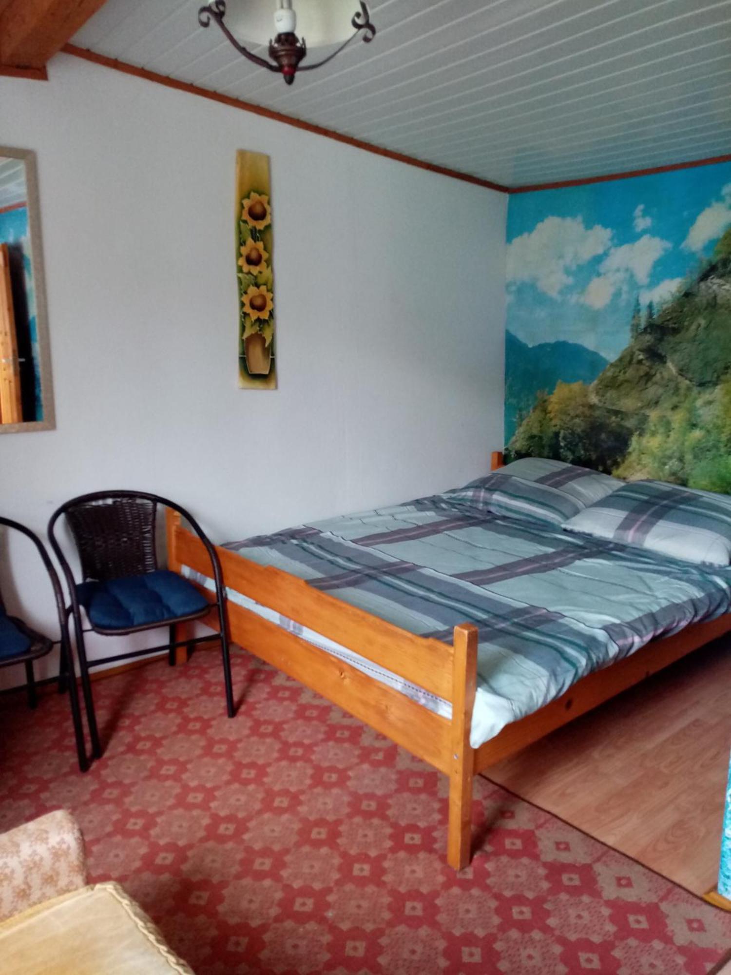 Hotel Przy Winogronie Uherce Mineralne Habitación foto